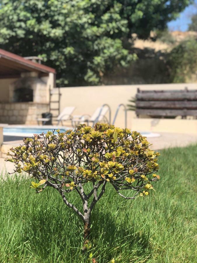 Afroditi House Stroumbi Bagian luar foto
